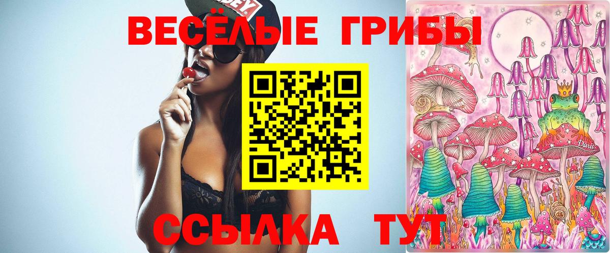 Галлюциногенные грибы Cubensis Карпинск