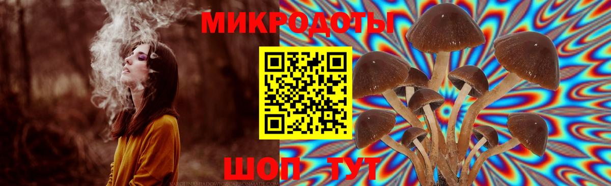 Псилоцибиновые грибы Psilocybine cubensis  магазин    Карпинск  Вход с VPN 