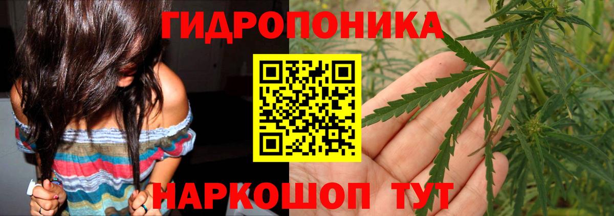 Канабис Ganja  Шишки марихуана SATIVA & INDICA  Карпинск  Вход с VPN 